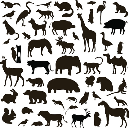 Vector Set of Black Animals and Birds Silhouettes. Hand drawn vector illustration.