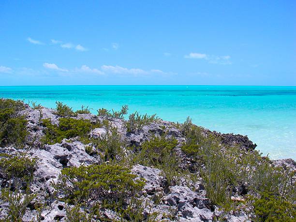 Turks and Caicos Beautiful scenery in the Turks and Caicos, Caribbean. With turquoise water, lava rocks and blue sky. providenciales stock pictures, royalty-free photos & images