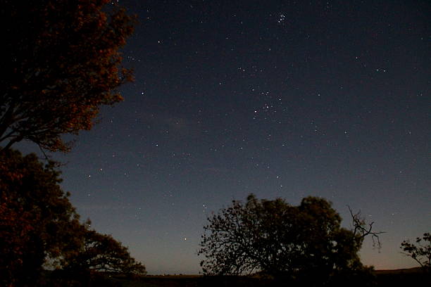 istock Night sky, North Yorkshire Moors, stars and trees 494729884