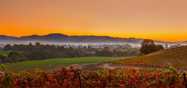 por la mañana y de la ciudad de viñedos de napa valley, california - california panoramic napa valley hill fotografías e imágenes de stock