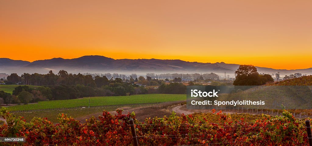 Early Morning Vineyard and town in Napa Valley California Subject: Napa Valley wine country mountain hillside vineyard at sunrise. Napa Valley Stock Photo