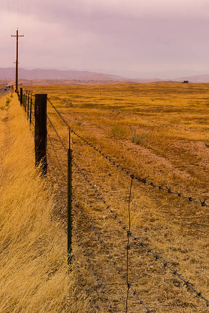 istock Golden Country Grass Road 494730890