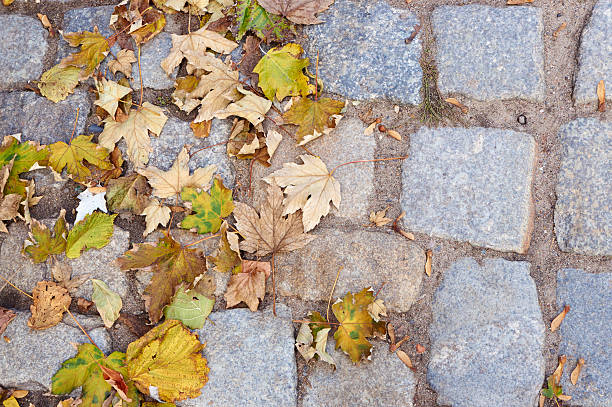 istock Granite paving stones and autumn leaves 494731038