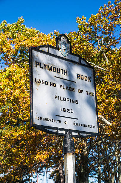 hito de plymouth - plymouth rock fotografías e imágenes de stock