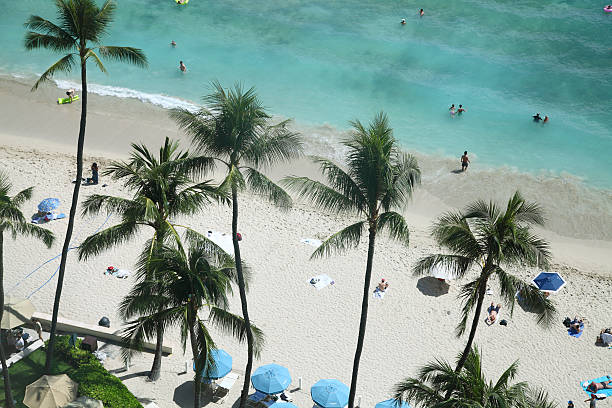 praia do waikiki a partir de cima - hawaii islands big island waikiki beach imagens e fotografias de stock