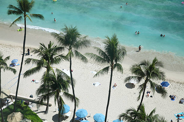 пляж вайкики из выше - hawaii islands big island waikiki beach стоковые фото и изображения