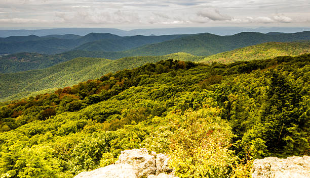 istock Shenandoah National Park, Virginia 494734004