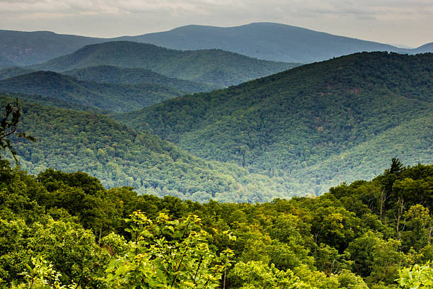 バージニア州シェナンドー国立公園 - blue ridge mountains mountain virginia mountain range ストックフォトと画像