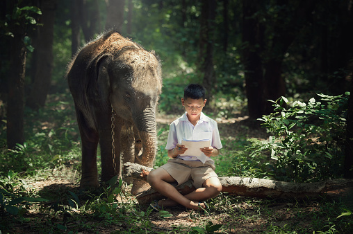 Boy reading book with elephant at Elephant Village school in Thailand.