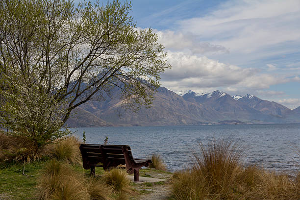 View of Lake Wakatipu from the Queenstown Gardens with a Park Bench in Spring Time