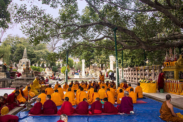 moines sous arbre de la bodhi - bodhgaya architecture image human age photos et images de collection