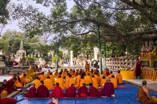 Bodhgaya, India - February 25, 2014: Tibetan buddhist monks are sitting and meditating underneath the bodhi tree, the tree under which the Buddha became enlightened.