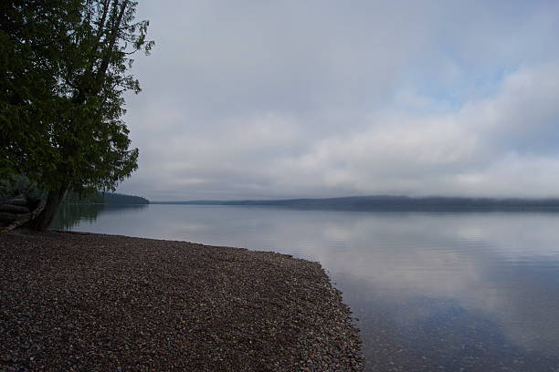 モンタナワイルドなビーチ - flathead national forest ストックフォトと画像