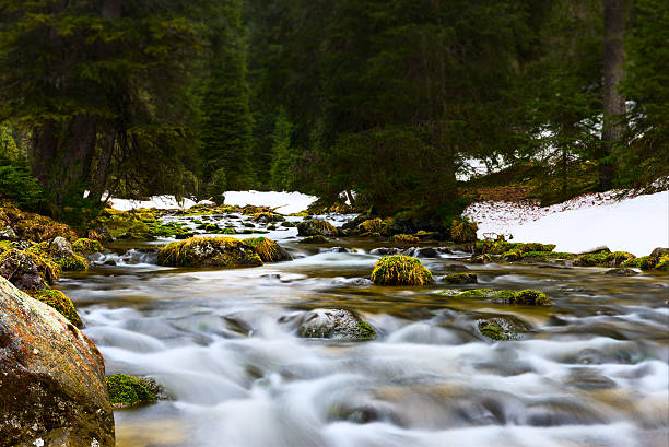 woda płynąca przez kamienie rzeki w wiejski krajobraz natura - runnel zdjęcia i obrazy z banku zdjęć