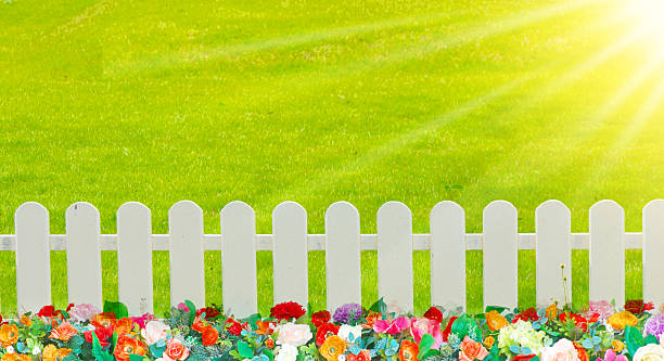 istock wooden fence in the grass. 494737554