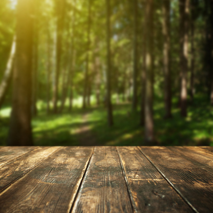 Wooden floor and defocused summer forest on background