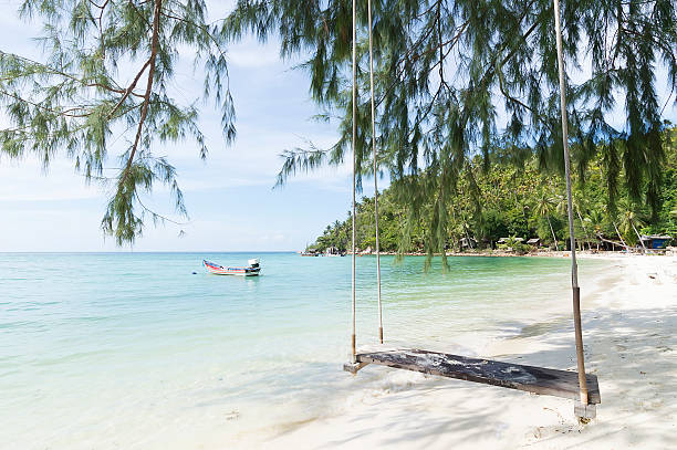 istock coconut tree leaning over the sea, Koh Phagnan 494737787