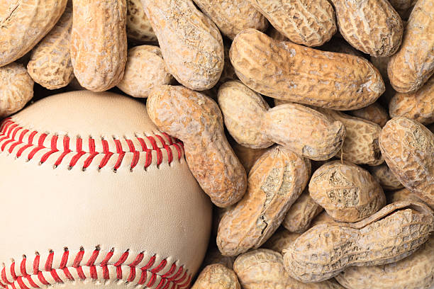 baseball et cacahuètes - baseball baseballs peanut american culture photos et images de collection