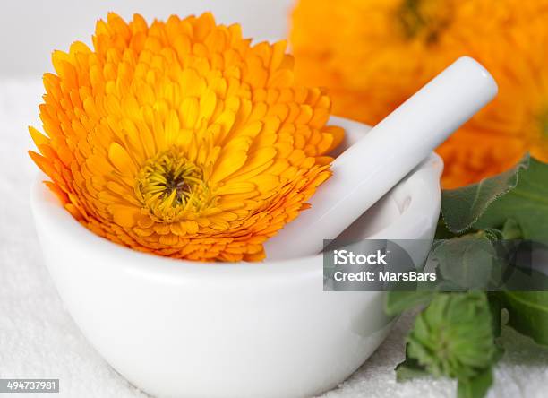 Fiore Di Calendula In Un Mortaio Con Pestello - Fotografie stock e altre immagini di Arancione - Arancione, Composizione orizzontale, Fiore