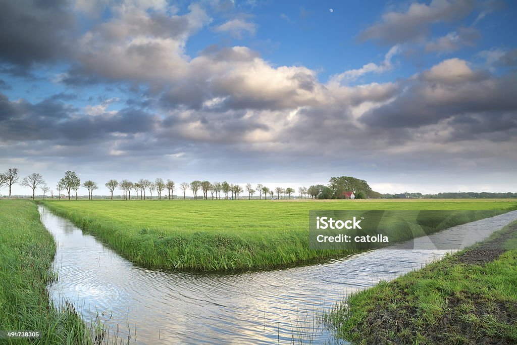 beautiful Dutch farmland with blue sky beautiful Dutch farmland with blue sky, Netherlands Blue Stock Photo