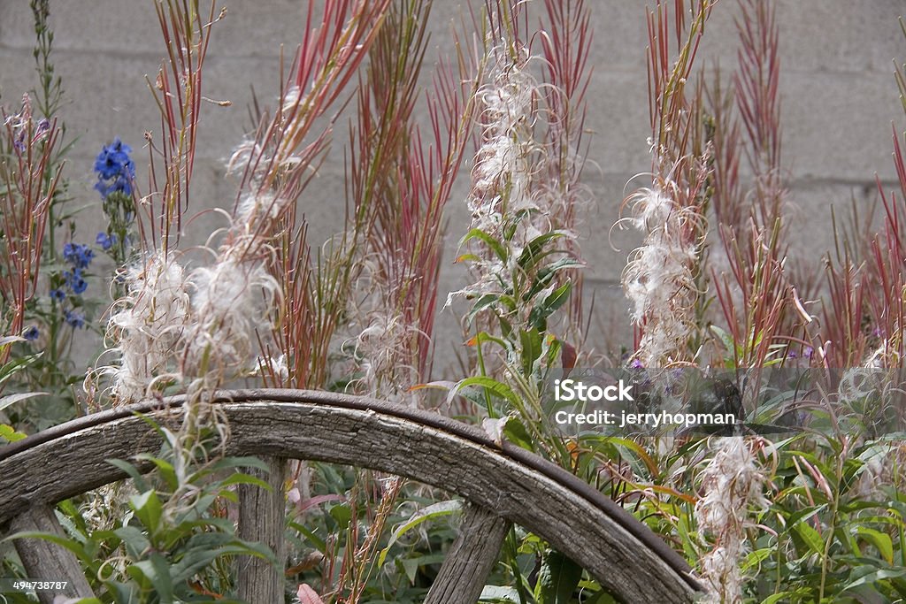 Jardín rueda de carro - Foto de stock de Aire libre libre de derechos