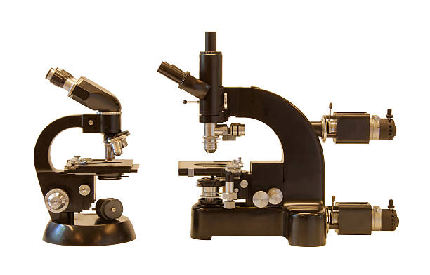 istock Vintage Microscope family, side view 494738960