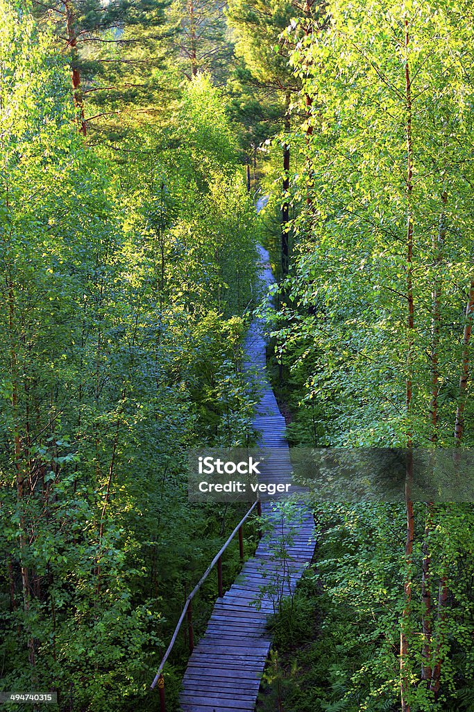 Wandern im späten Frühling - Lizenzfrei Baum Stock-Foto