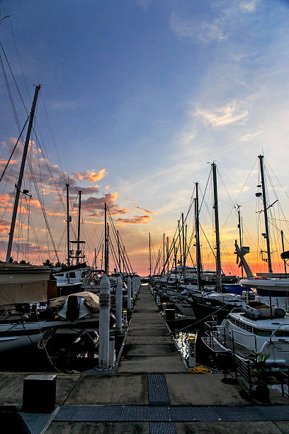istock Many Cruise Ships at Wharf in Sunset 494740797