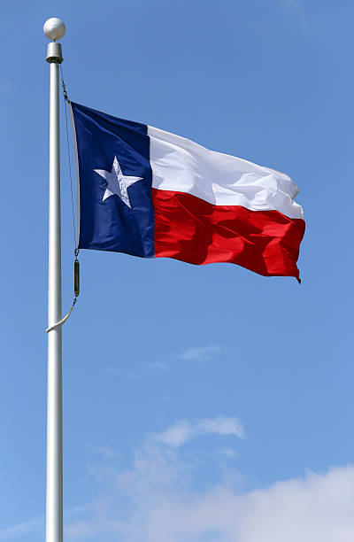 istock Flag of Texas 494740807