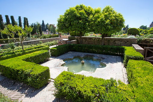 Shaped pool    Generalife(Alhambra -Granada )