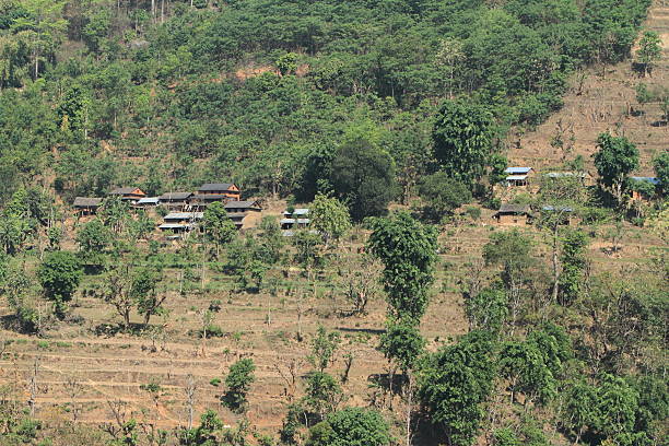 landwirtschaft no nepal - reisanbau imagens e fotografias de stock