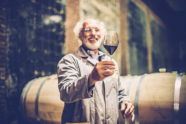 hombre mayor con barba sostiene una copa de vino tinto - winery wine cellar barrel fotografías e imágenes de stock