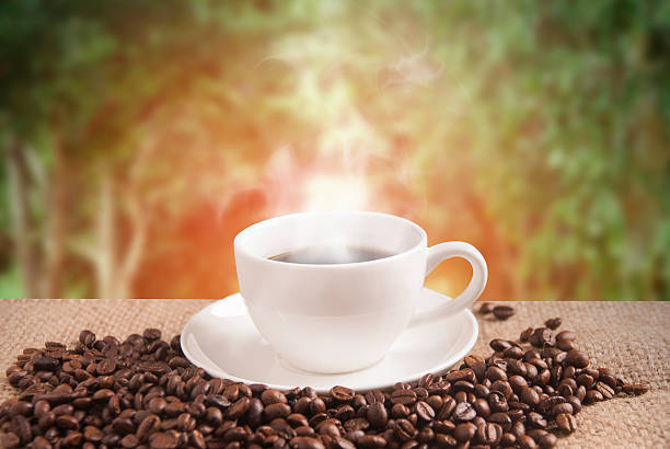istock Hot Coffee with outdoor background 494756688