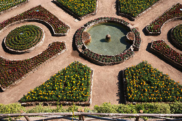 istock Flowers in a garden 494759118