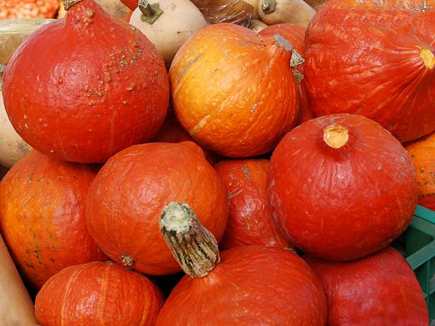 istock orange,tasty pumpkins 494760034