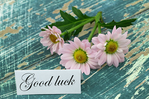 istock Good luck card with pink daisies on rustic wooden surface 494760754