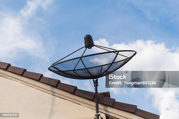 Satellite Dish Stock Photo - Download Image Now - Animal Antenna, Broadcasting, Connection