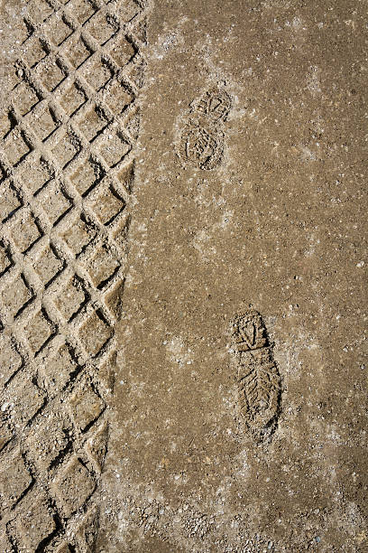 istock Footsteps and a tire track 494761533