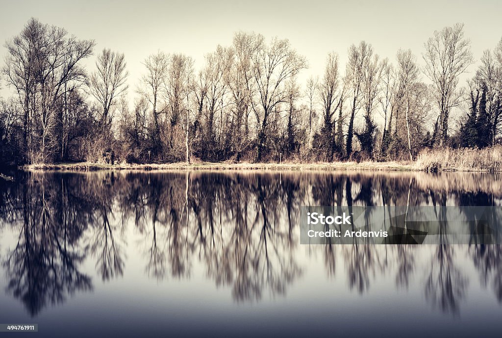 Inquietante Foresta riflessa nell'acqua di lago, immagine in tonalità, tempo exposur - Foto stock royalty-free di Acqua