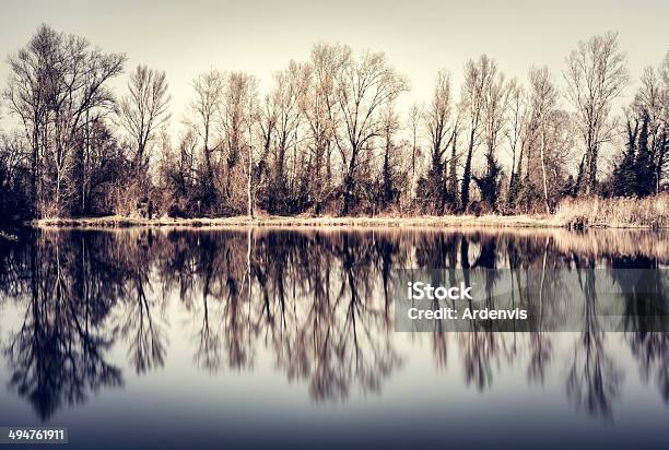 Inquietante Foresta Riflessa Nellacqua Di Lago Immagine In Tonalità Tempo Exposur - Fotografie stock e altre immagini di Acqua