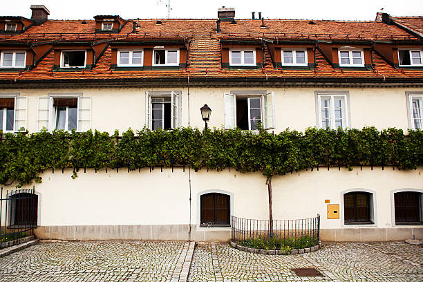 istock The worlds oldest grape vine in Maribor, Slovenia. 494762046