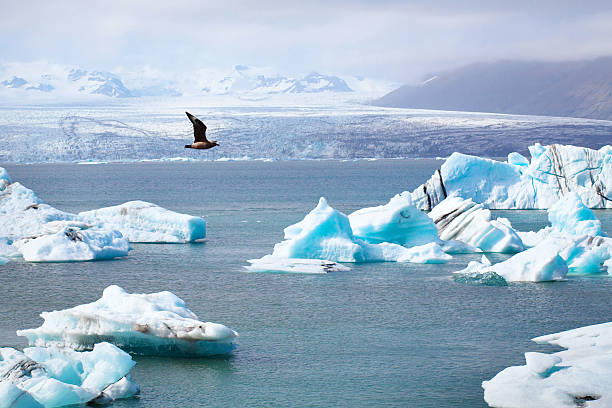 istock glacier lagoon in Iceland 494763146