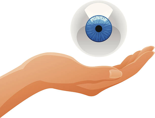 illustrazioni stock, clip art, cartoni animati e icone di tendenza di mano tenendo occhio - human eye cartoon looking blue eyes