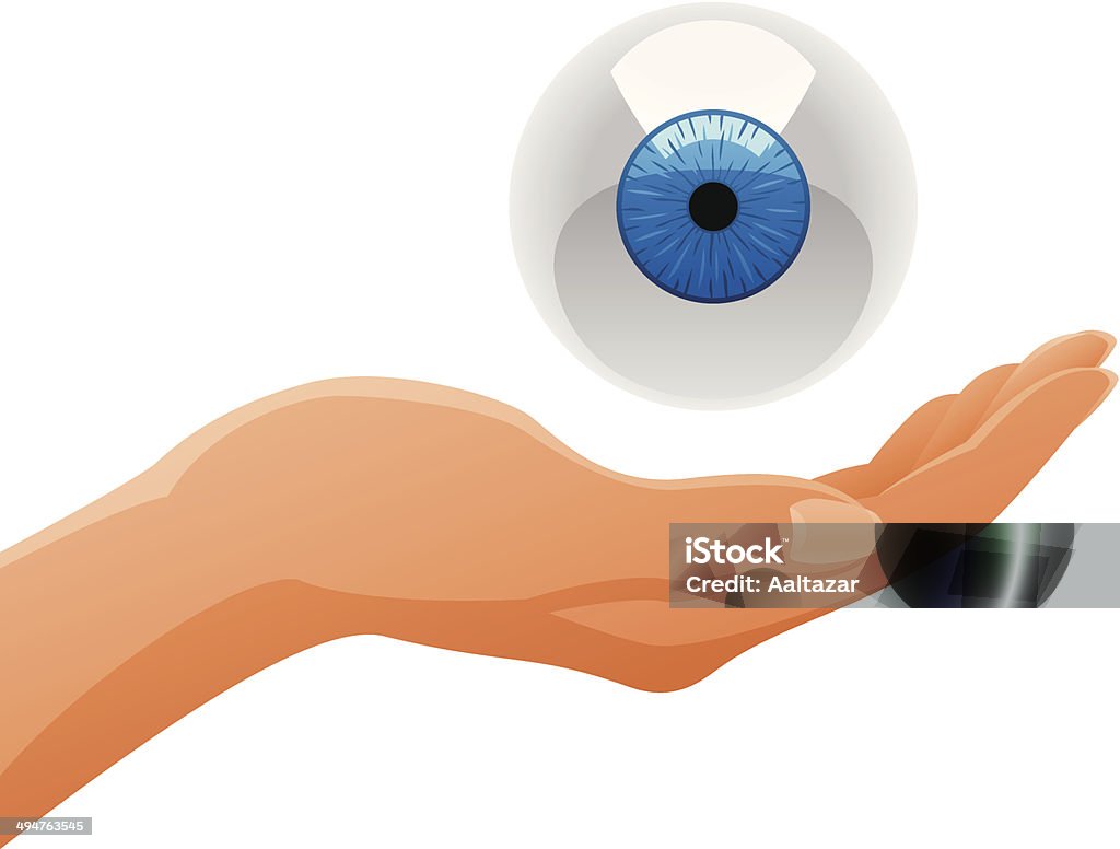 Mão segurar Olho - Royalty-free Anatomia arte vetorial Mão segurar Olho - Royalty-free Anatomia arte vetorial