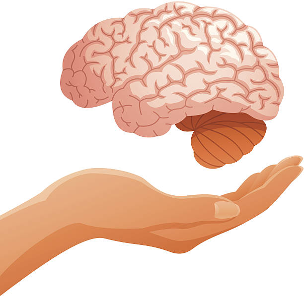 illustrazioni stock, clip art, cartoni animati e icone di tendenza di mano che tiene il cervello - nerve cell healthcare and medicine research human hand