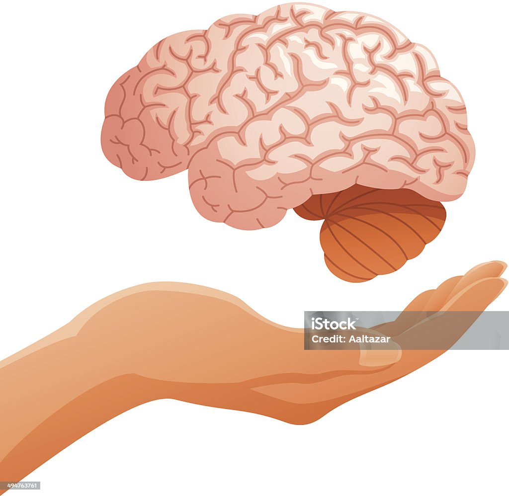 손 쥠 뇌 - 로열티 프리 소뇌 벡터 아트