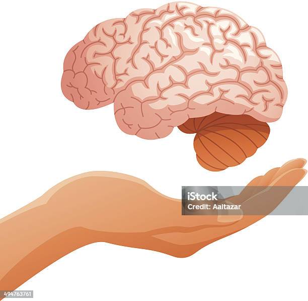 Ręka Trzymać Mózgu - Stockowe grafiki wektorowe i więcej obrazów Dłoń - Dłoń, Móżdżek, Anatomia człowieka