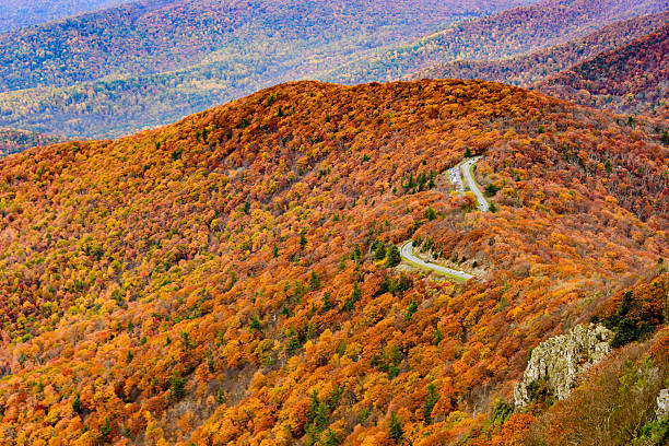 XXXL: Road through colorful autumn forest Skyline drive through the colorful autumn forest of Shenandoah National Park, Virginia skyline drive virginia photos stock pictures, royalty-free photos & images