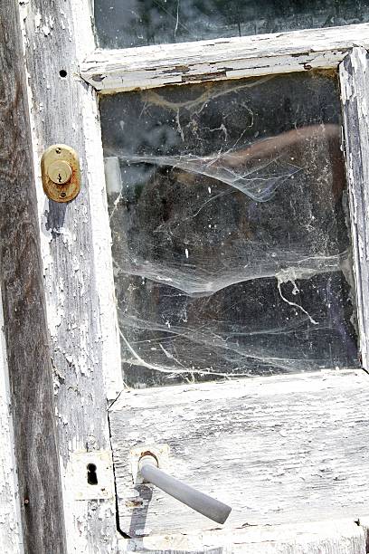 istock Weathered old door covered in cobwebs 494766322