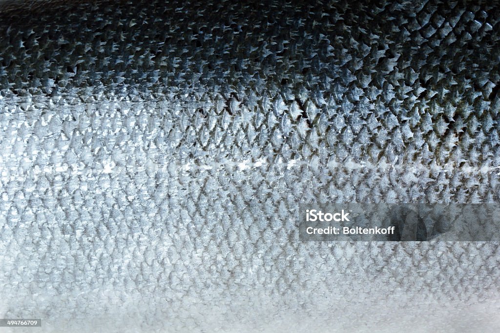 Salmon skin Salmon skin pattern Fish Stock Photo